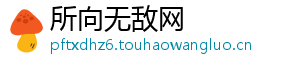 所向无敌网